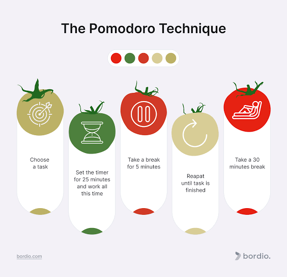 Pomodoro study timer