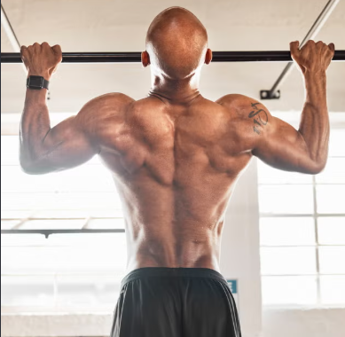 Clinical Muscle Building Program