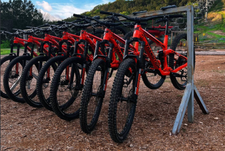 Corporate Weekend Mountain Bike Rental