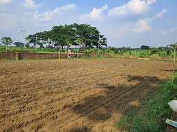 Verified Agricultural Land in Manikganj