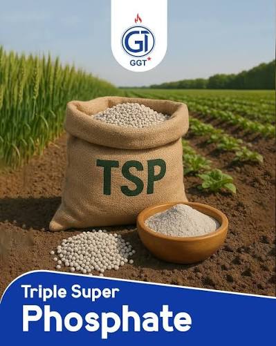 Triple Super Phosphate (TSP) 50kg Bag